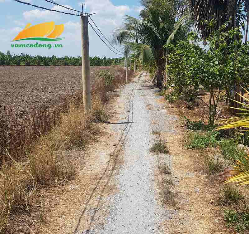 27.372.01 1000m2 đất vườn đường 3m Rạch Cây Gia